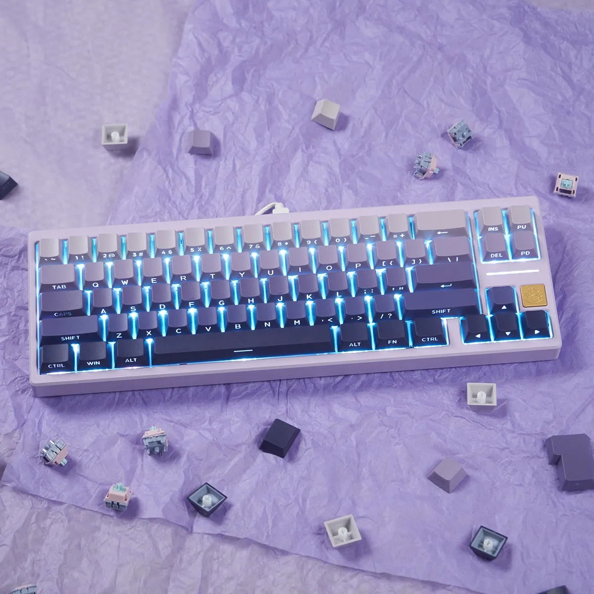 Gradient (Purple)