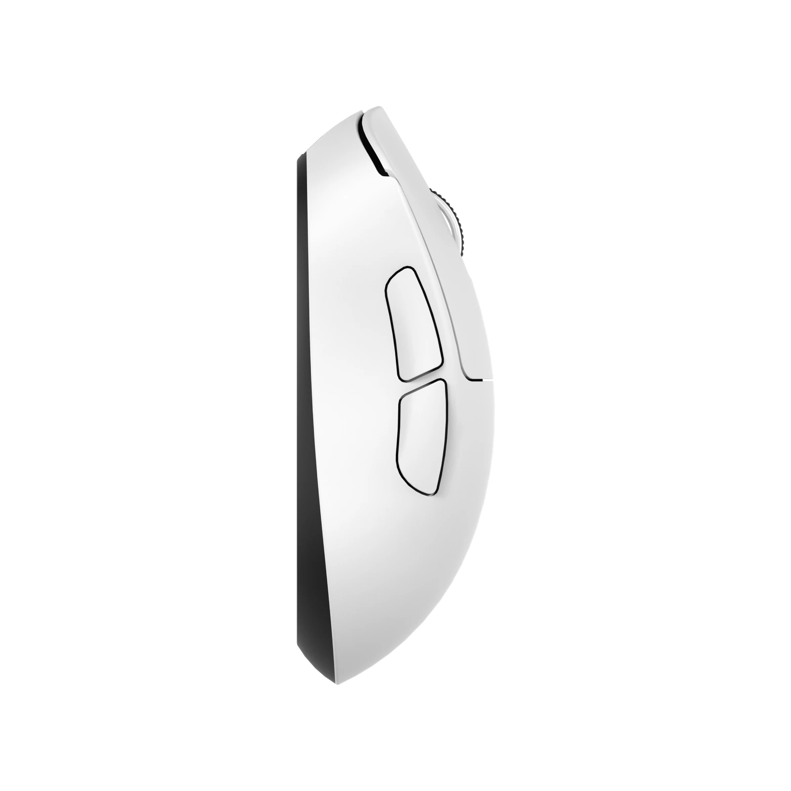 Teevolution Terra PRO (White, Ресивер до 1000 гц) — фото 4