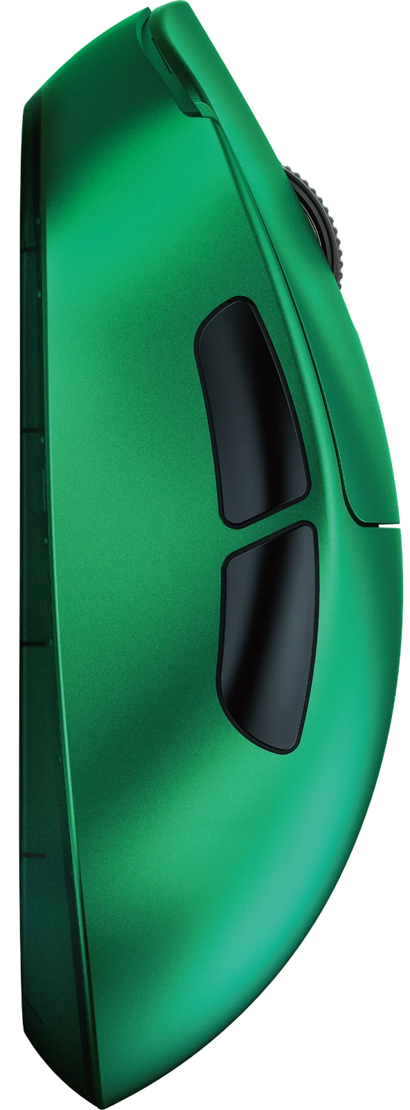 Teevolution Terra PRO (Green, Ресивер до 8000 гц) — фото 7