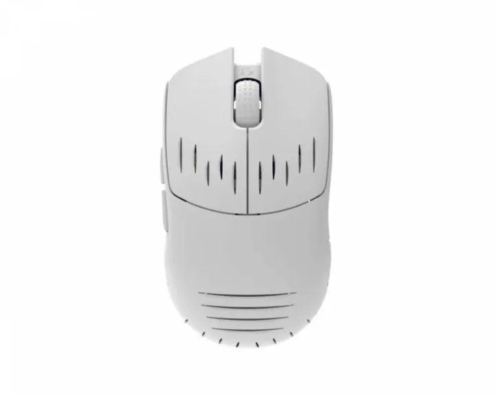 G-Wolves HT-S2 8K