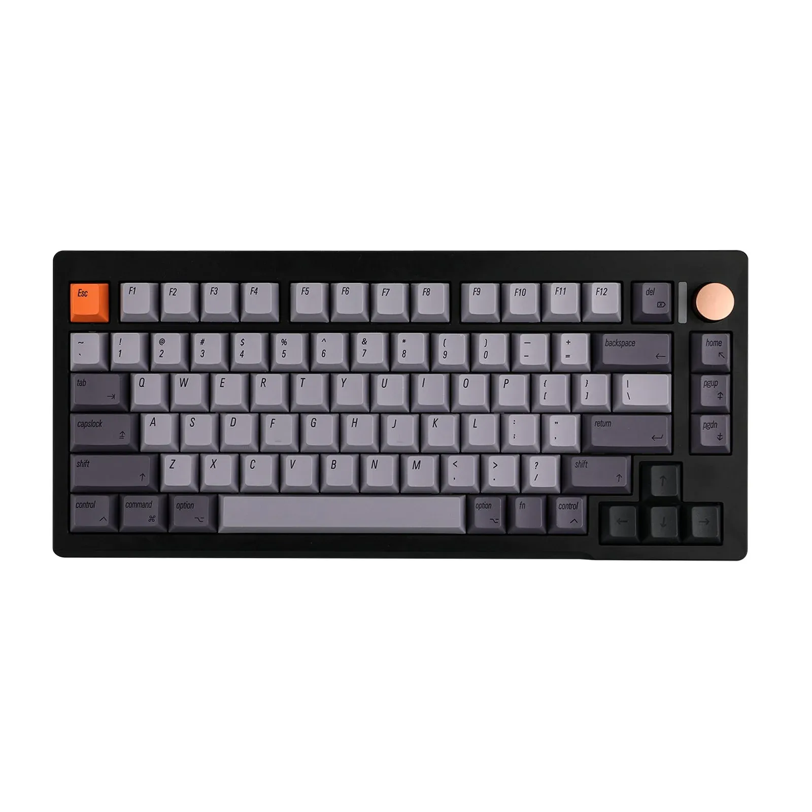 Cidoo C75 HE (Black, GATERON KS-20U Magnetic Switch)