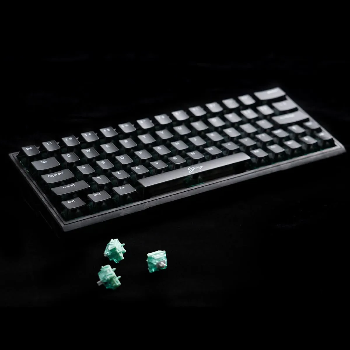 Wlmouse YING63 (MO, Gateron Magnetic Jade Pro) — фото 2