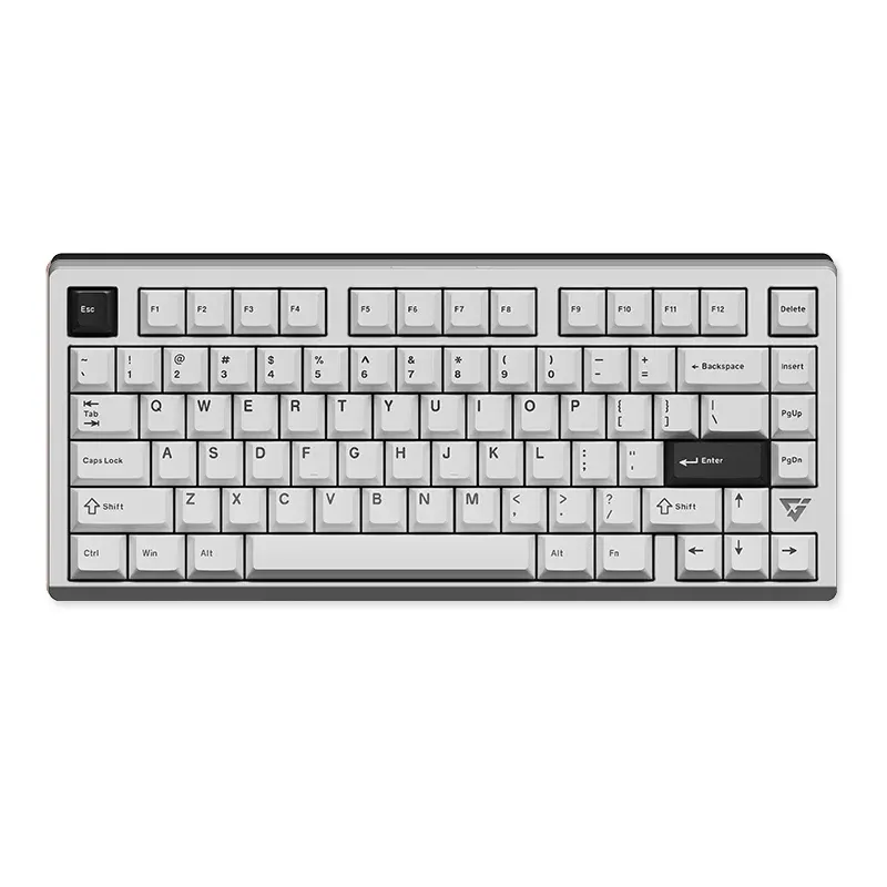 VGN VXE75 V2 (Ice Silver, Anya)