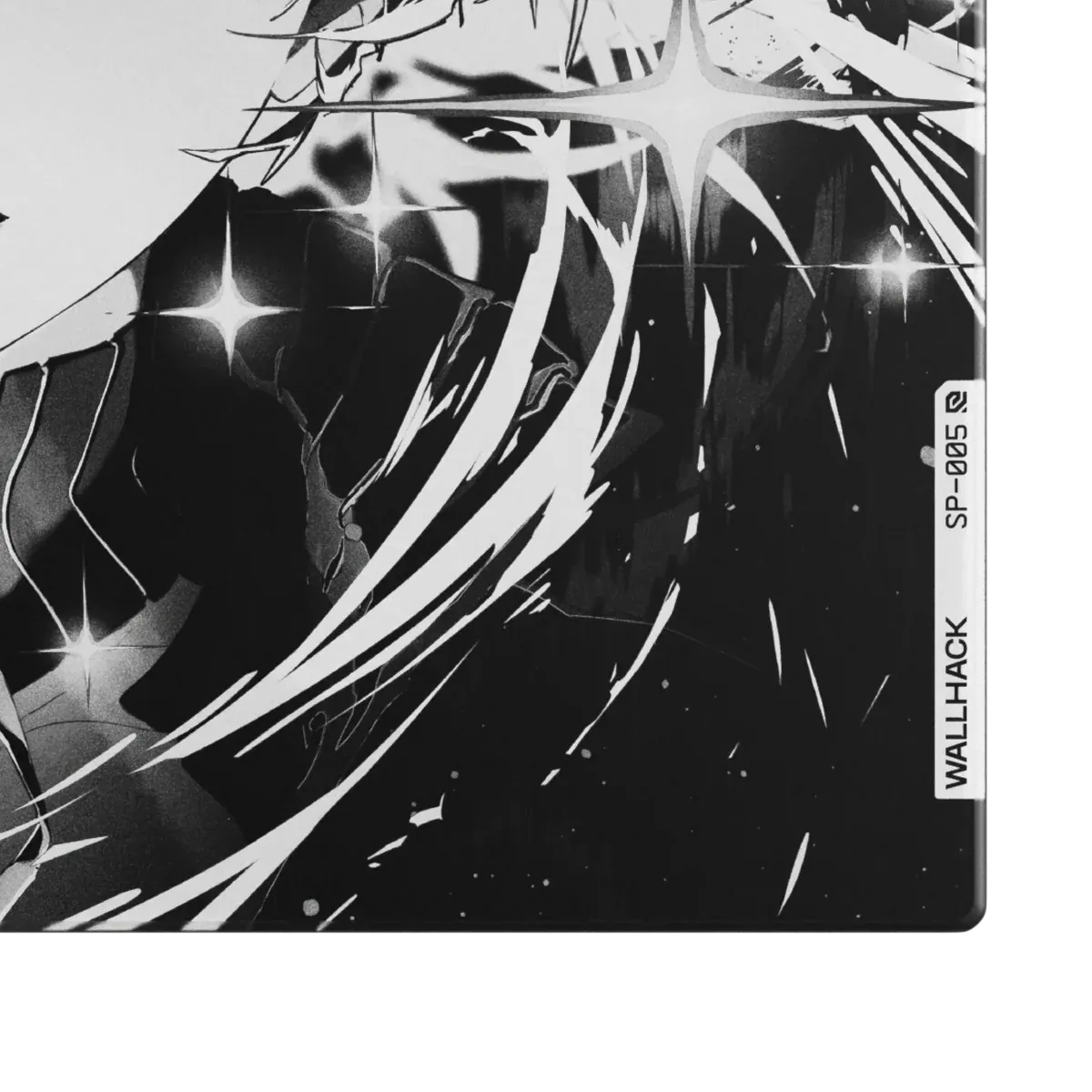 Wallhack SP-005 (Awakening Sora) — фото 2