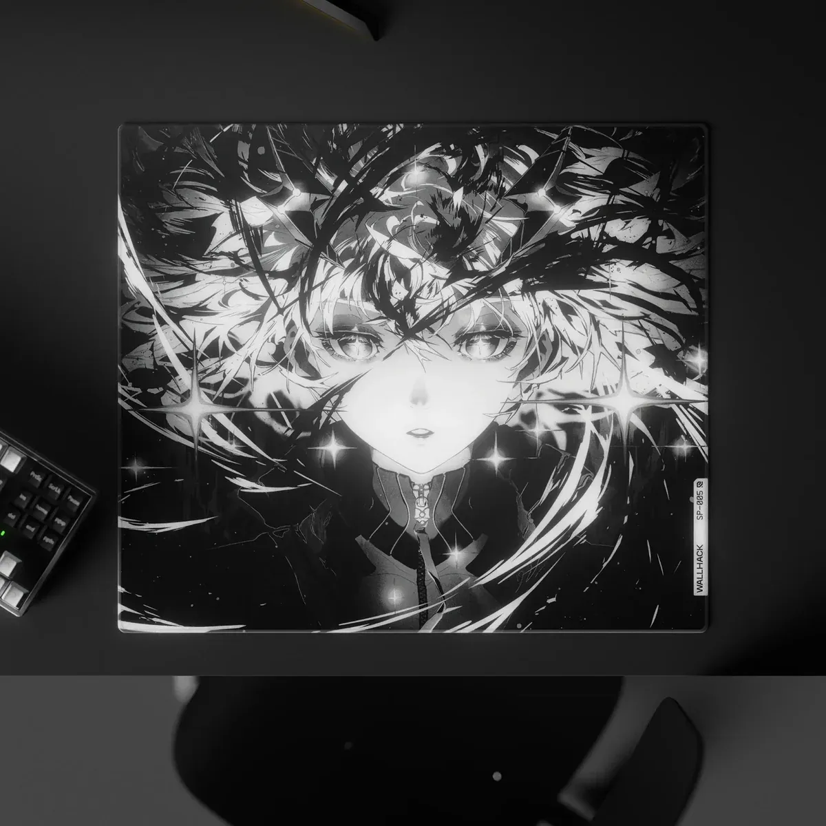 Wallhack SP-005 (Awakening Sora) — фото 4